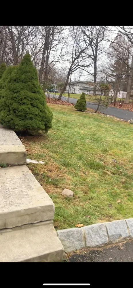 Affordable lawn care service in Spring Valley, NY - First Clean