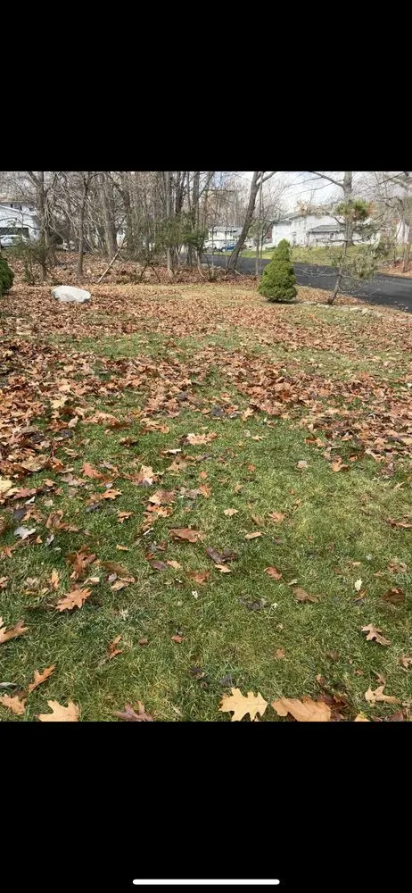 Professional outdoor landscaping experts serving Spring Valley, NY - First Clean