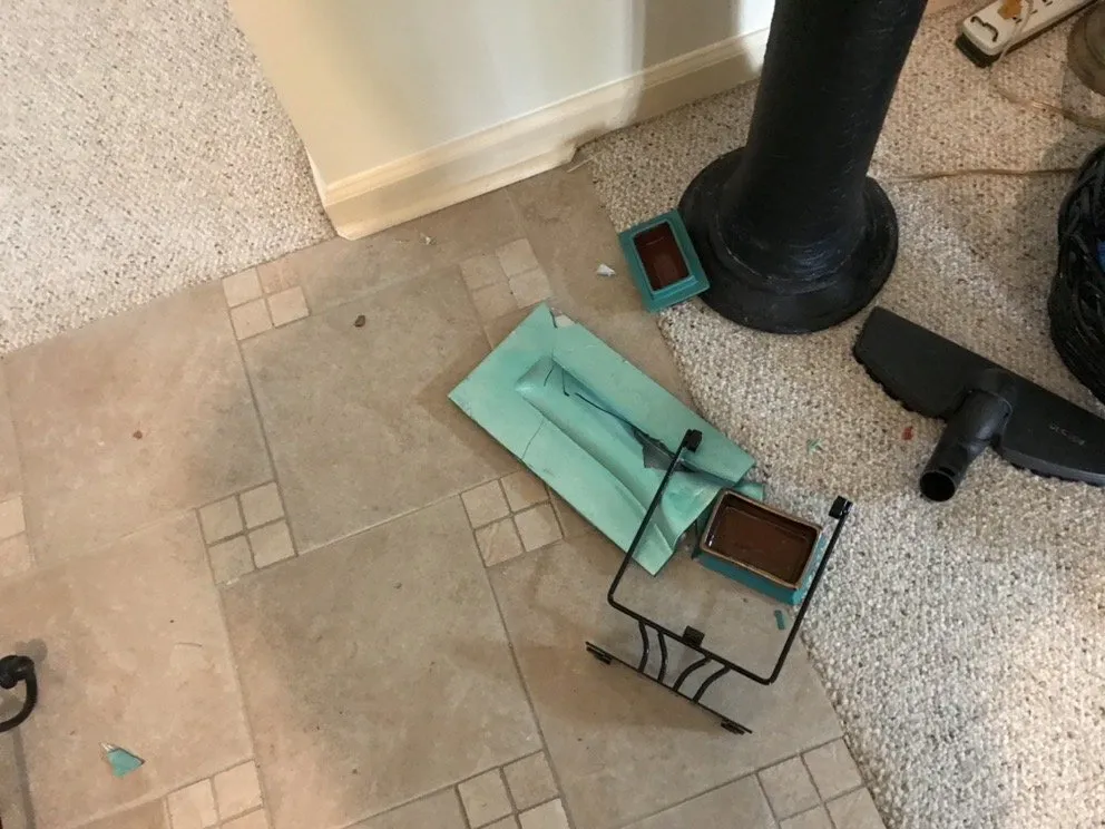 Reliable yard maintenance for year-round maintenance across Jacksonville, FL - First Coast Green Clean Squad