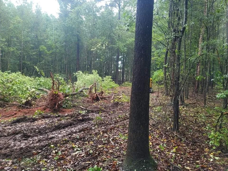 Professional lawn mowing service in Eatonton, GA by First Cut Enterprise