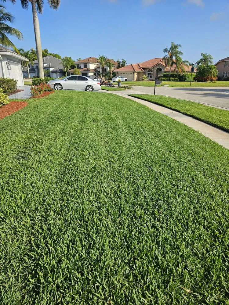 Trusted yard cleanup service for homes in Boca Raton, FL by First Cut Landscaping