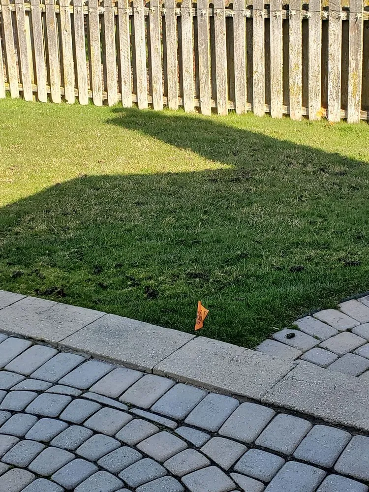 Professional lawn care service in Warren, MI by First Cut Lawn Care