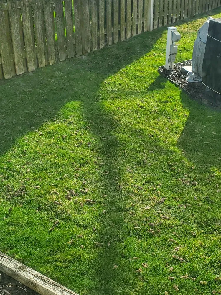 Top-rated landscape installation for outdoor upgrades across Warren, MI - First Cut Lawn Care