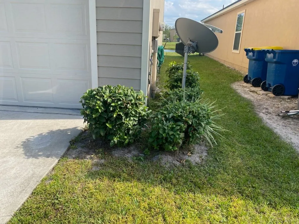 Local lawn care service in Jacksonville, FL by First Cut Lawn Service