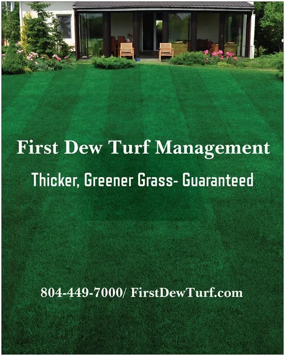 Professional lawn care service near you across Midlothian, VA - First Dew Turf Management