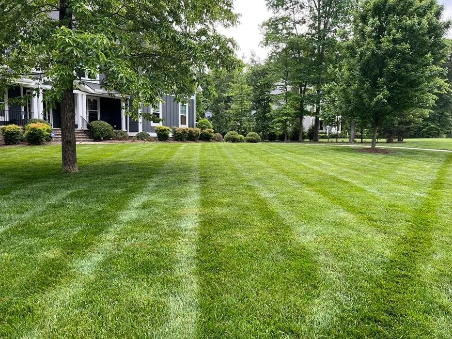Top-rated residential landscaping experts serving Abingdon, MD - First Due Landscaping