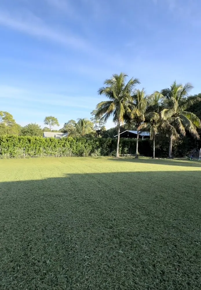 Top-rated landscape design for homes in Wellington, FL by First Due Lawn Maintenance