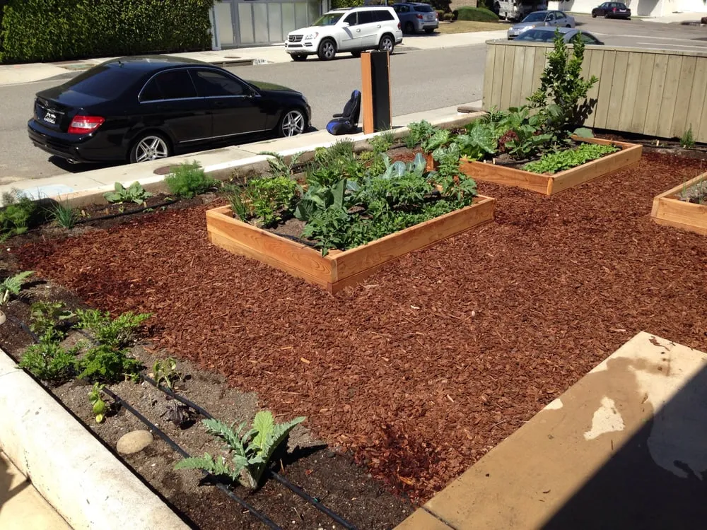 Top-rated outdoor landscaping for homes in Los Angeles, CA by First Earth Gardens