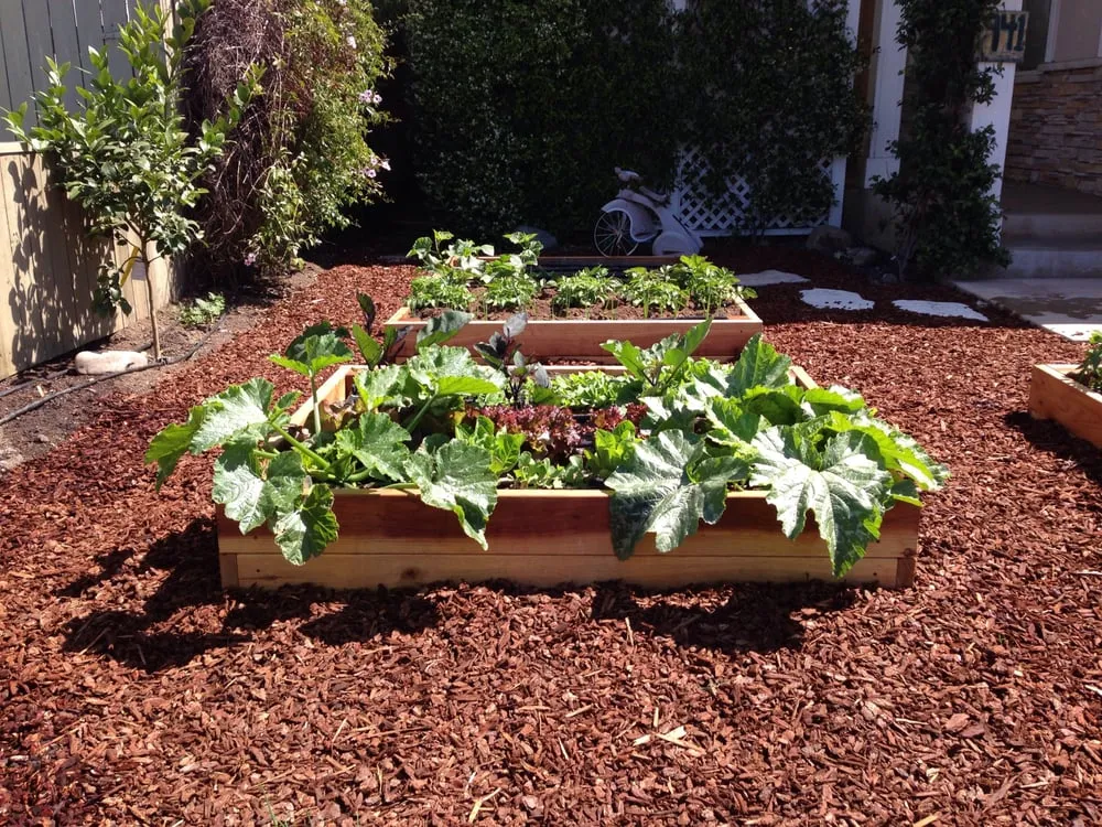 Expert residential landscaping in Los Angeles, CA - First Earth Gardens