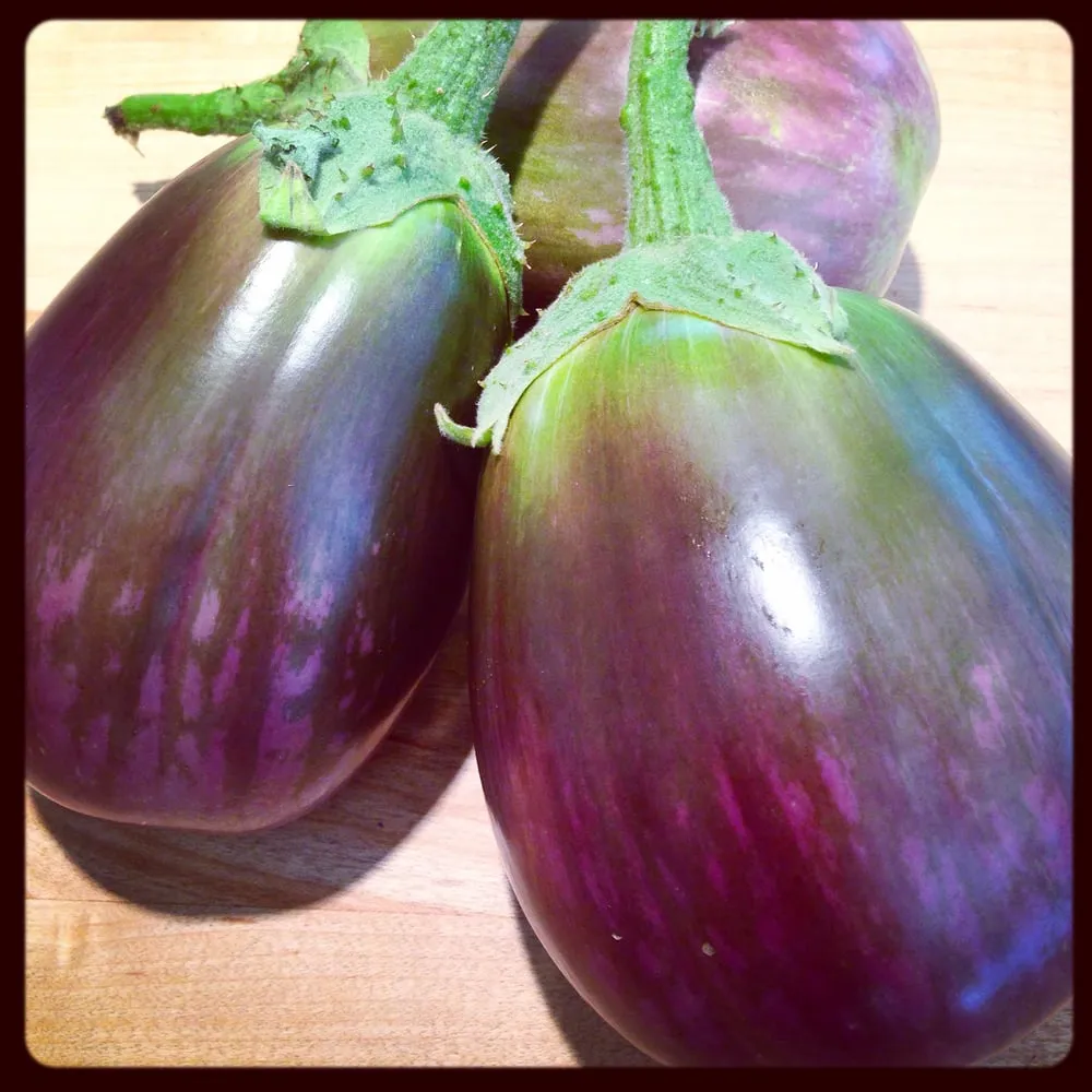 Custom yard maintenance in Los Angeles, CA - First Earth Gardens