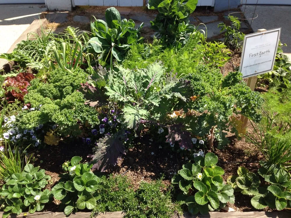 Top-rated landscaping services experts serving Los Angeles, CA - First Earth Gardens