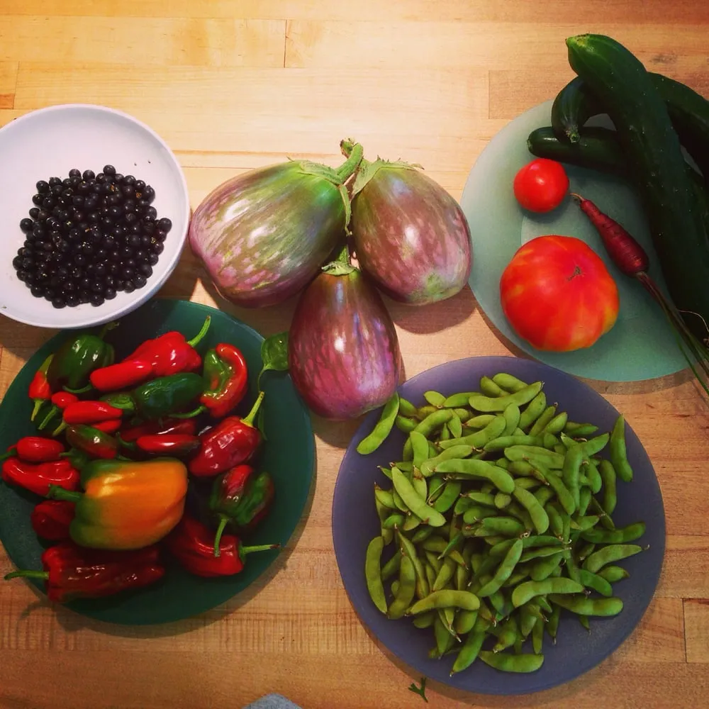 Local outdoor landscaping experts serving Los Angeles, CA - First Earth Gardens