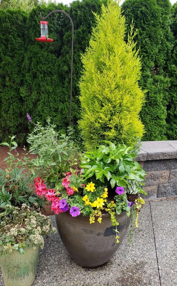 Affordable landscape design in Mukilteo, WA - First Fruits Landscaping