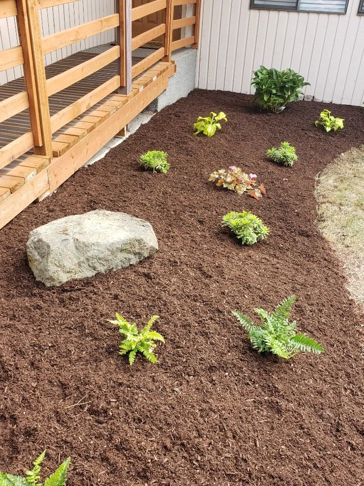 Reliable lawn care service experts serving Mukilteo, WA - First Fruits Landscaping