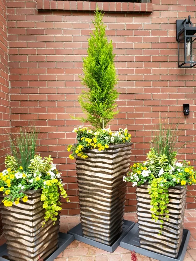 Top-rated yard cleanup service with custom design across Mukilteo, WA - First Fruits Landscaping