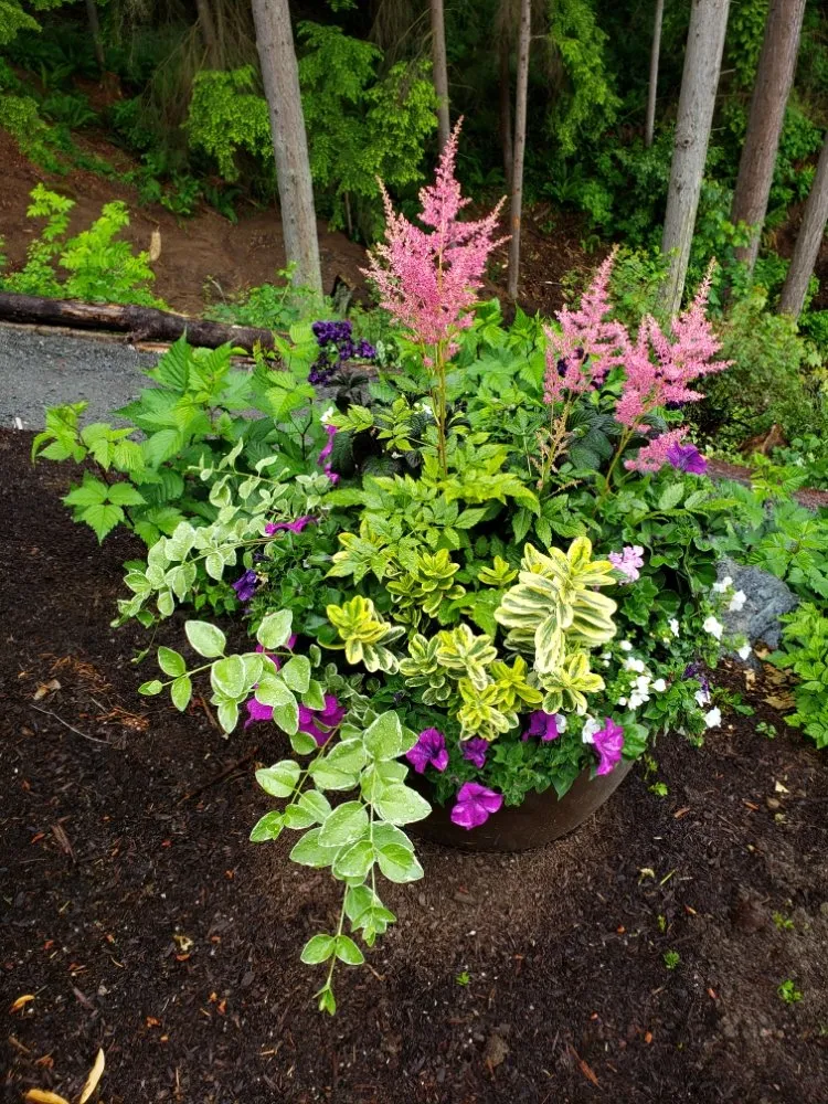 Local lawn mowing service in Mukilteo, WA by First Fruits Landscaping