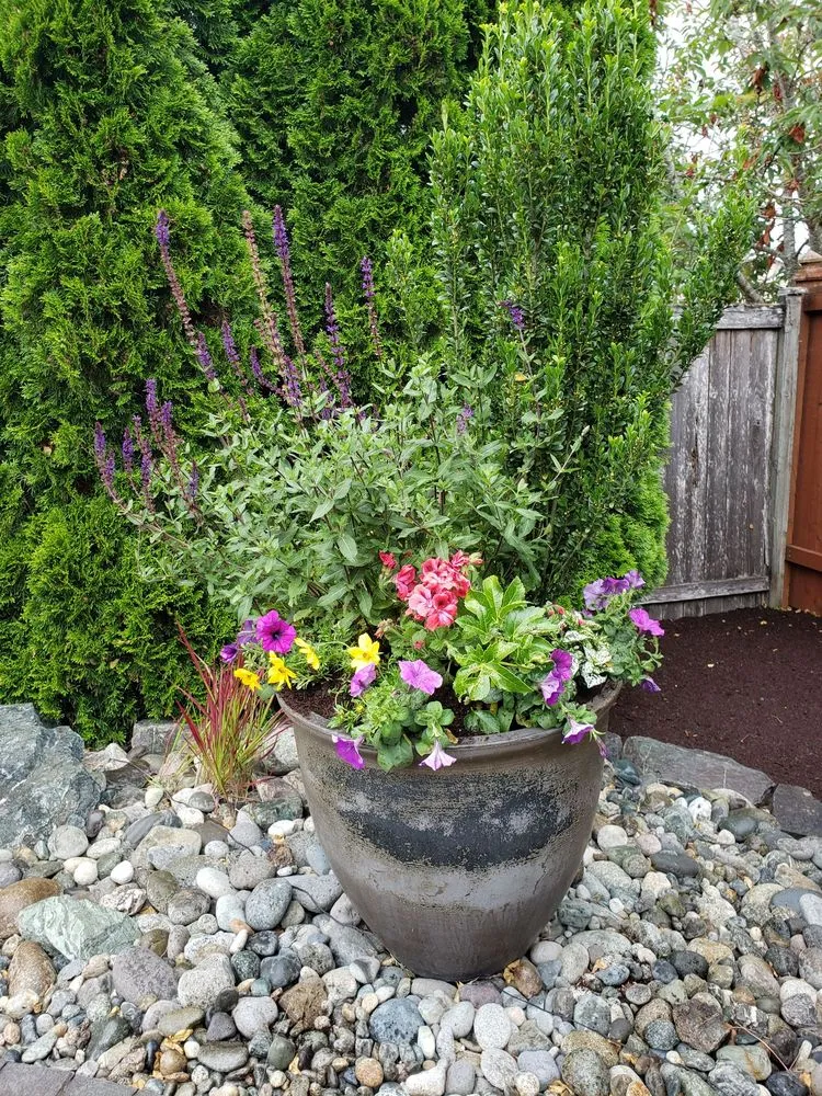 Reliable residential landscaping for homes in Mukilteo, WA by First Fruits Landscaping