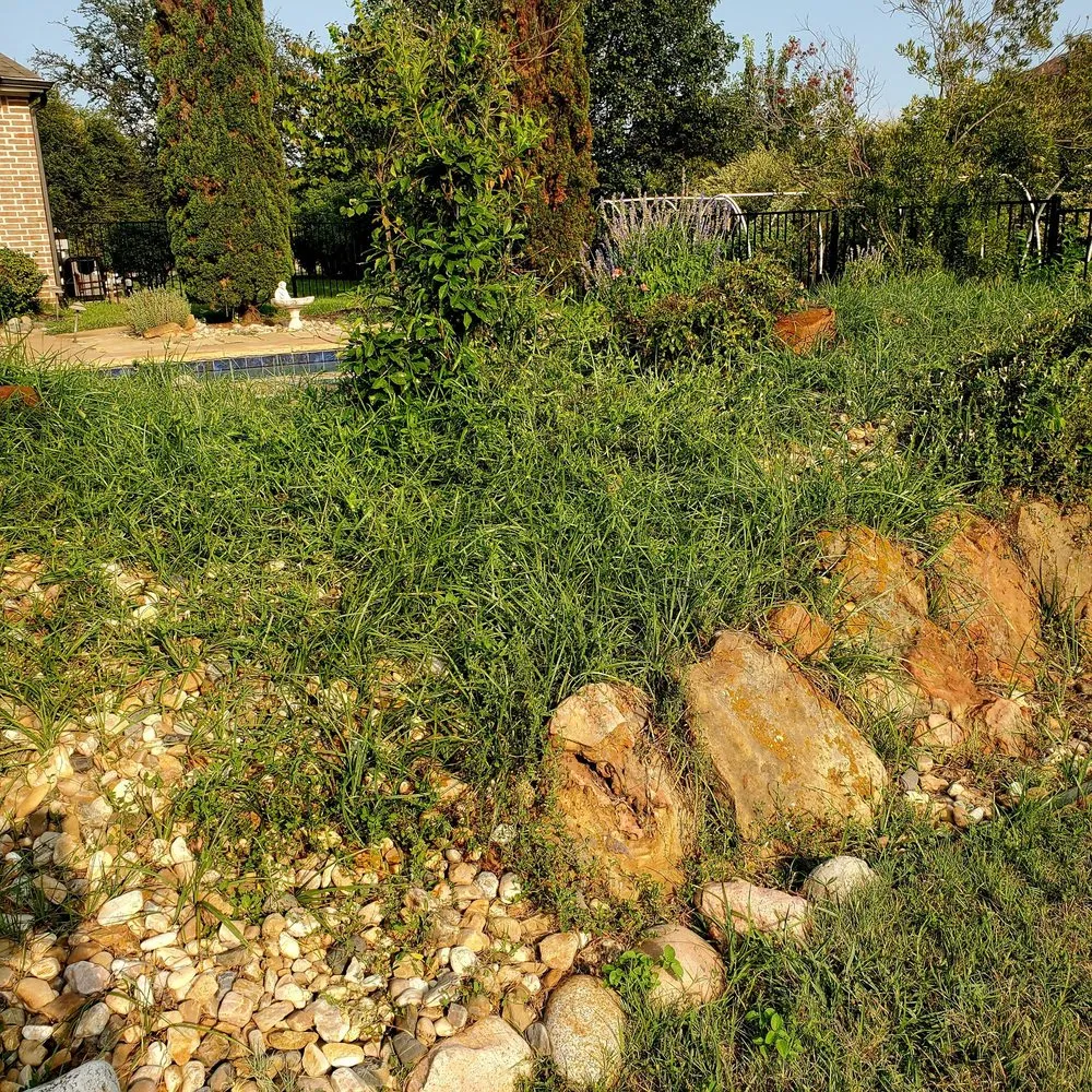 Top-rated landscape design for homes across Euless, TX - First Garden Landscaping