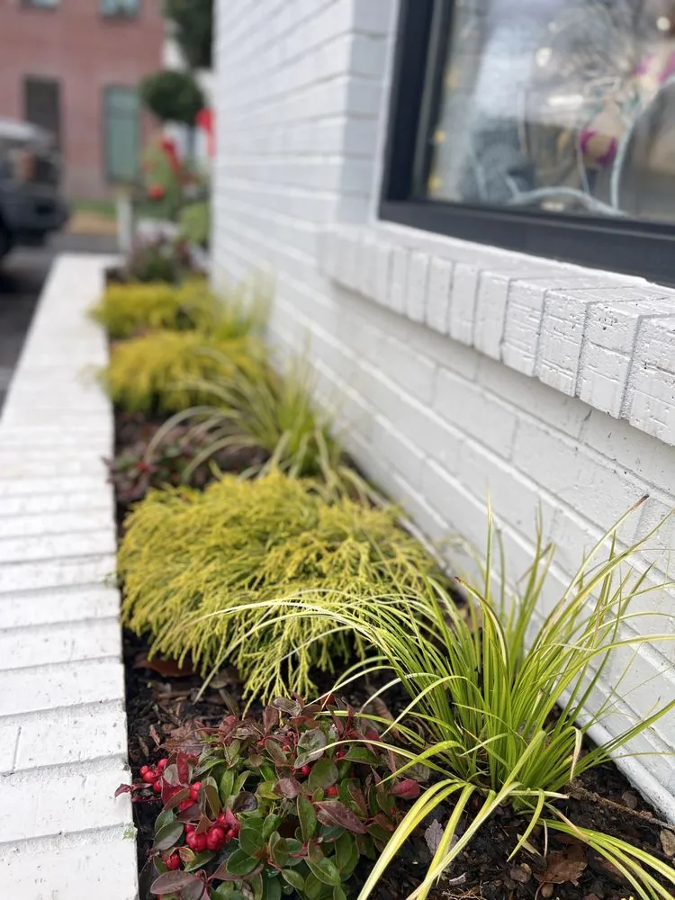 Local yard maintenance experts serving Brentwood, TN - First Green Landscapes