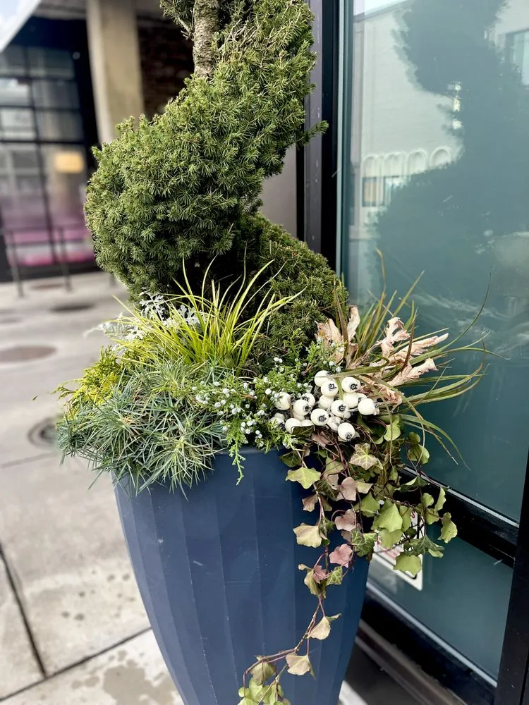 Trusted landscape design for outdoor upgrades across Brentwood, TN - First Green Landscapes