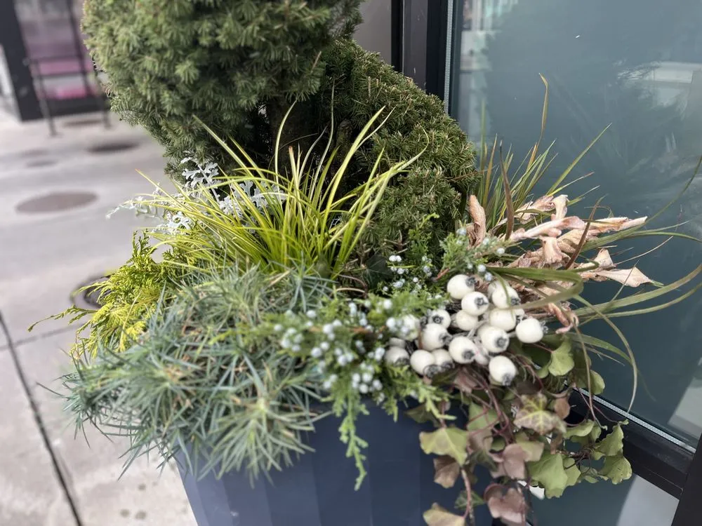 Professional landscape installation near you across Brentwood, TN - First Green Landscapes