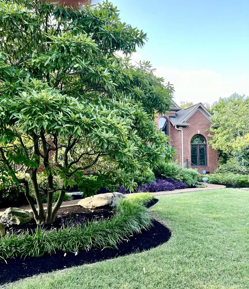 Expert lawn care service in Brentwood, TN - First Green Landscapes