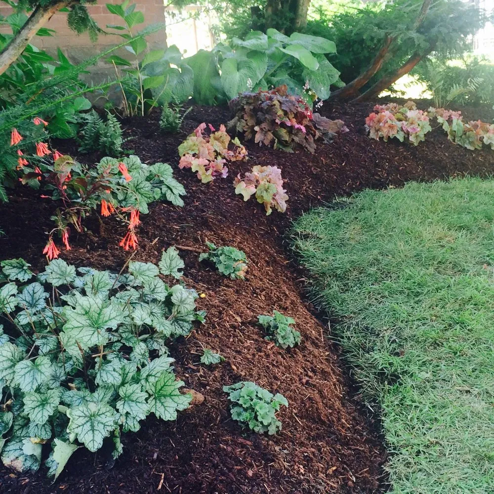 Professional landscape installation for outdoor upgrades in Brentwood, TN by First Green Landscapes