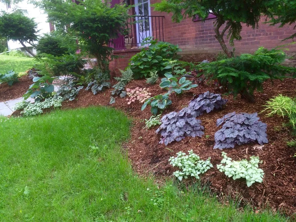 Expert yard maintenance experts serving Brentwood, TN - First Green Landscapes