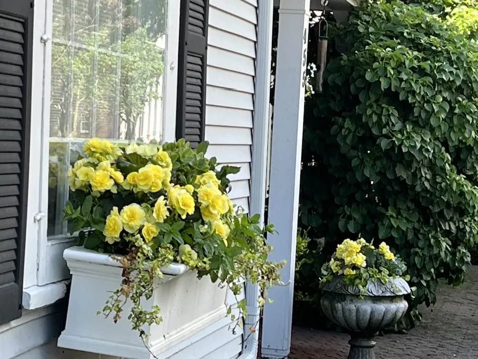 Trusted yard cleanup service in Brentwood, TN by First Green Landscapes