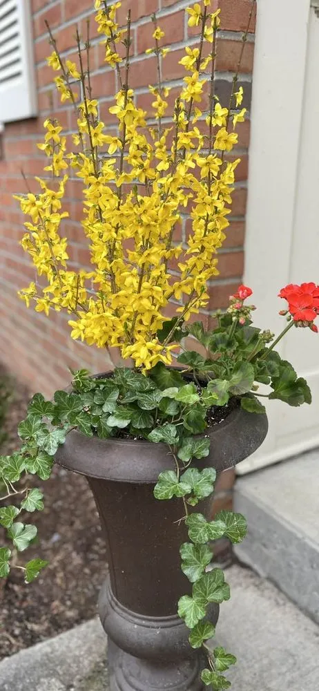 Custom residential landscaping for beautiful yards in Brentwood, TN by First Green Landscapes