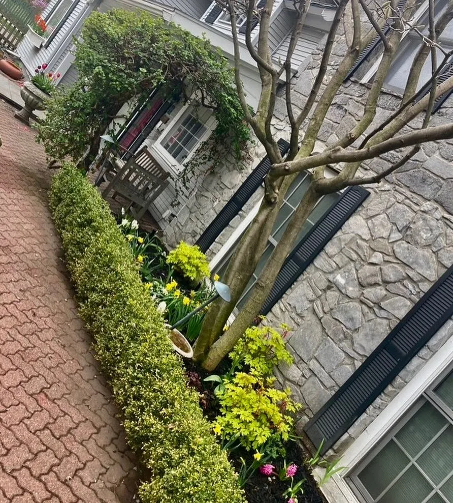 Local lawn mowing service experts serving Brentwood, TN - First Green Landscapes