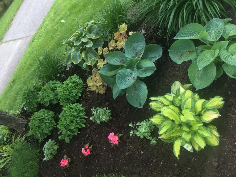 Local residential landscaping experts serving Brentwood, TN - First Green Landscapes