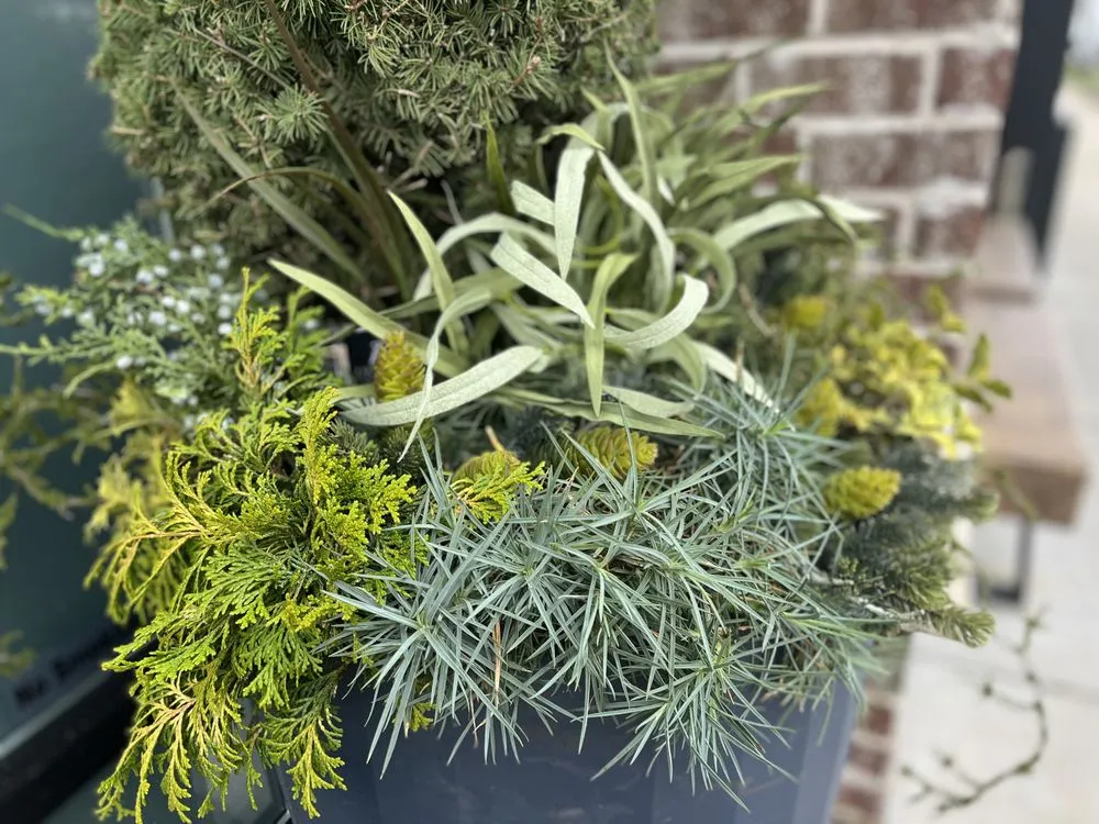 Professional garden landscaping with custom design in Brentwood, TN by First Green Landscapes