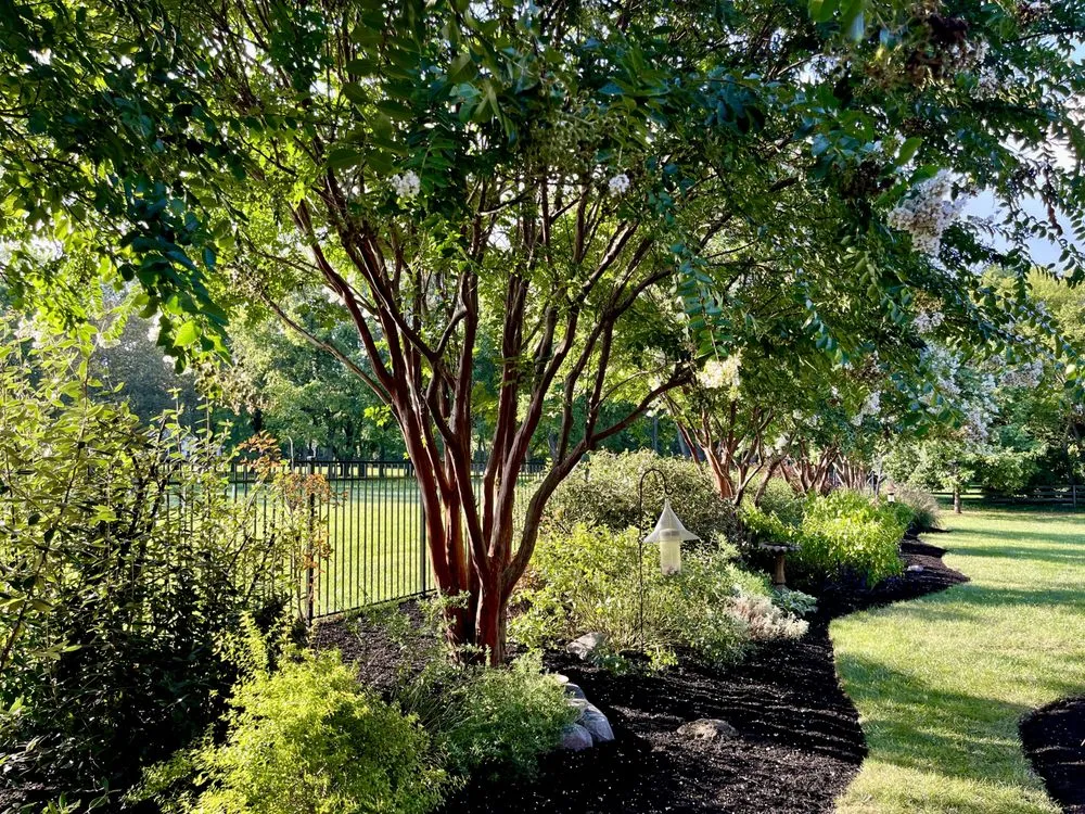 Affordable outdoor landscaping in Brentwood, TN by First Green Landscapes