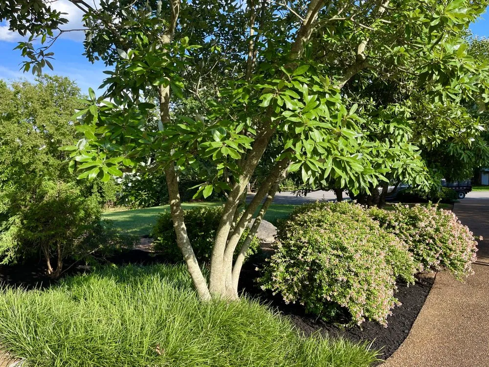 Professional landscaping services near you in Brentwood, TN by First Green Landscapes