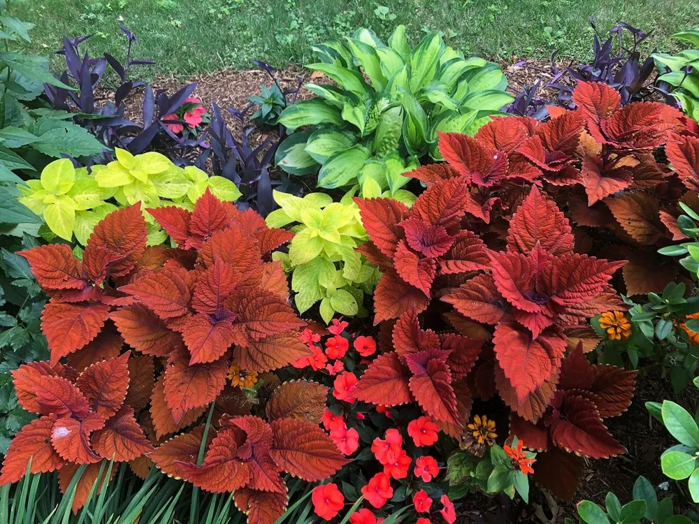 Trusted garden landscaping for beautiful yards across Brentwood, TN - First Green Landscapes