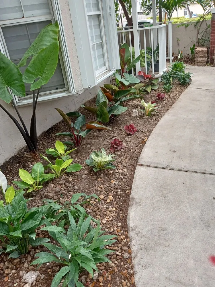 Reliable lawn care service near you across Cutler Bay, FL - First Impression Landscaping