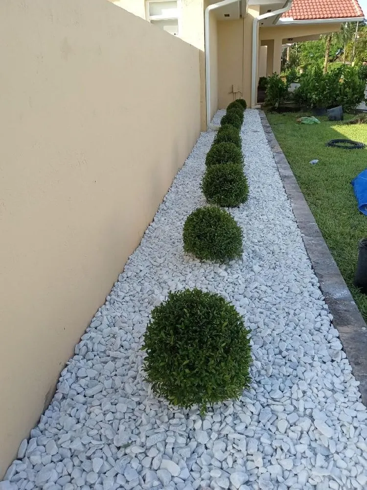 Top-rated yard maintenance near you in Cutler Bay, FL by First Impression Landscaping