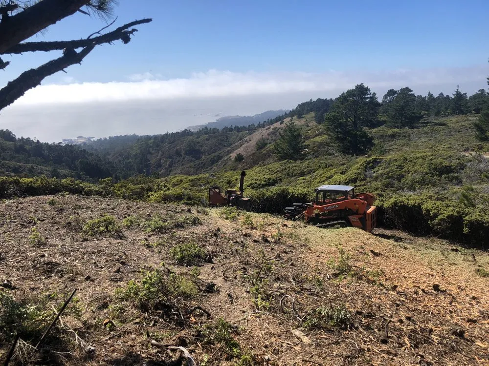 Affordable landscape installation in Seaside, CA by First Impression Landscaping