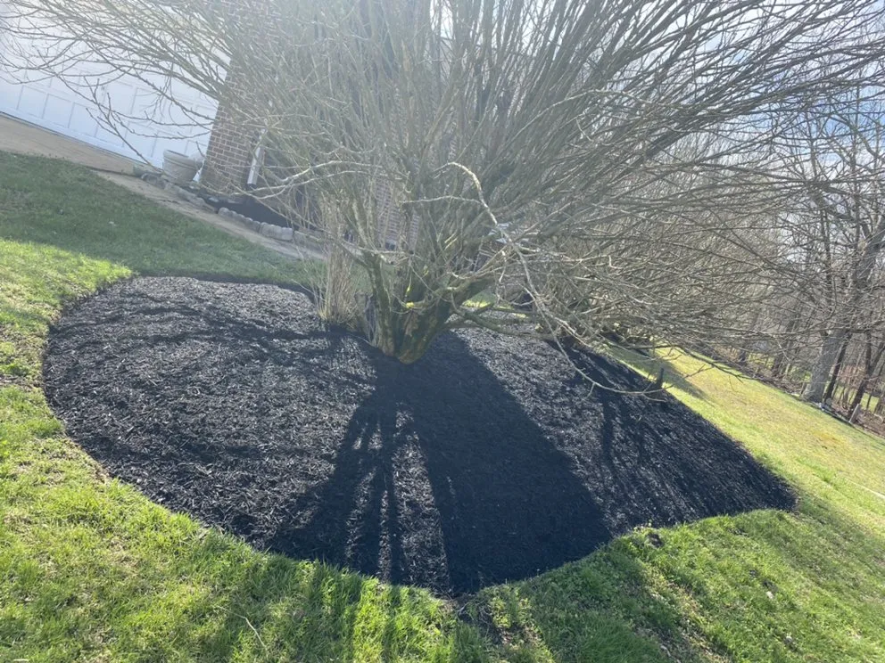 Reliable landscape design experts serving Waldorf, MD - First Impression Lawn Care