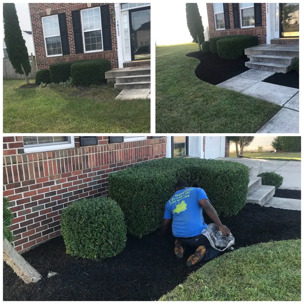 Local landscape design in Waldorf, MD by First Impression Lawn Care