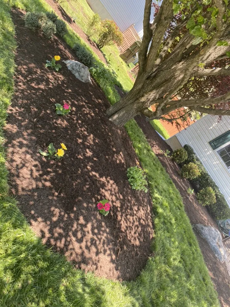 Local yard cleanup service in Waldorf, MD by First Impression Lawn Care