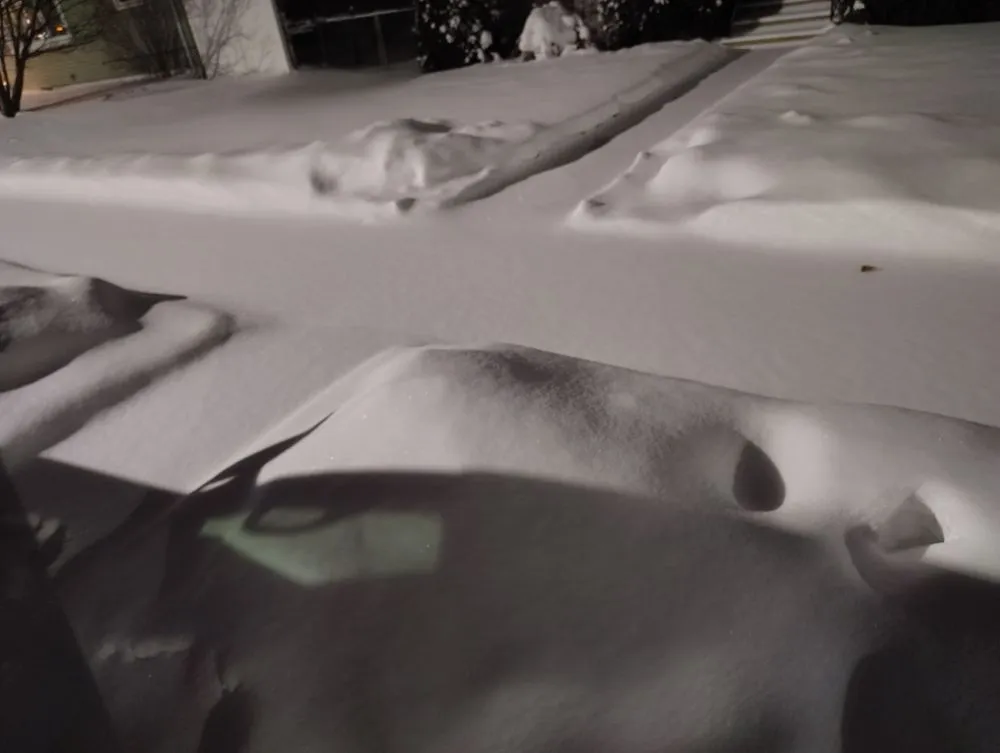 Affordable lawn mowing service near you across Williston, ND - First Impression Services