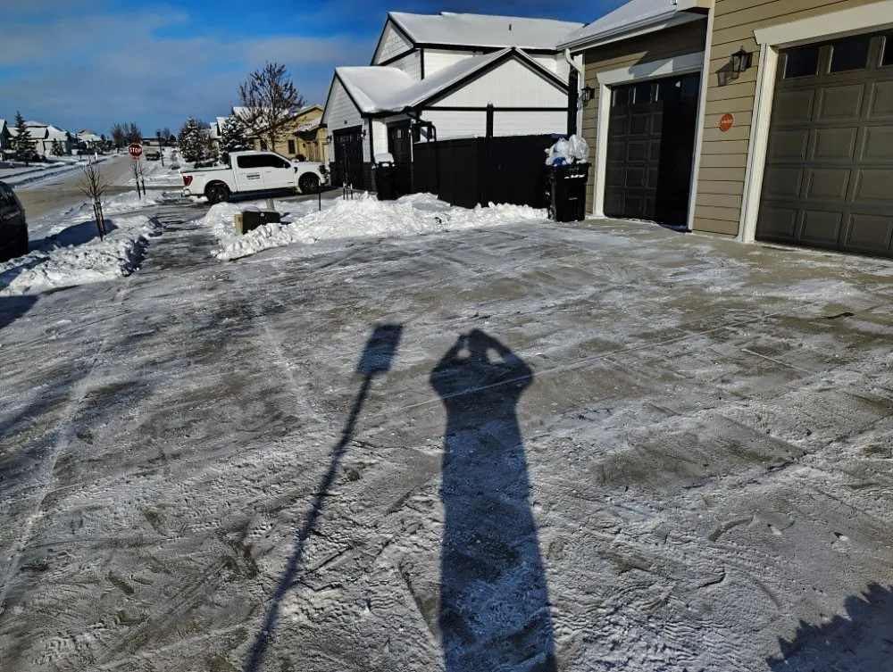 Top-rated yard cleanup service in Williston, ND - First Impression Services