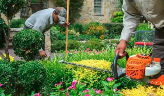 Top-rated yard cleanup service in Wilton Manors, FL - First Impressions Curb Appeal