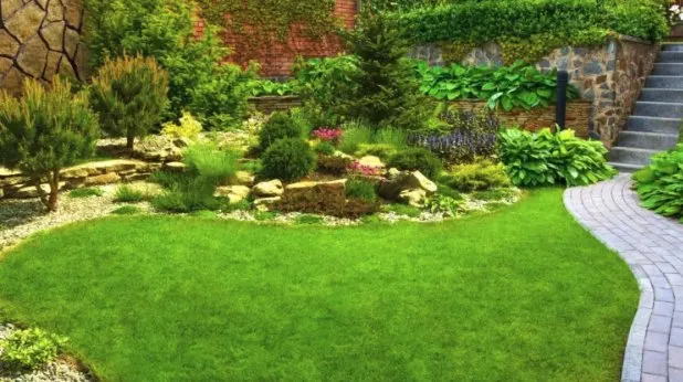 Top-rated lawn care service for homes in Wilton Manors, FL by First Impressions Curb Appeal