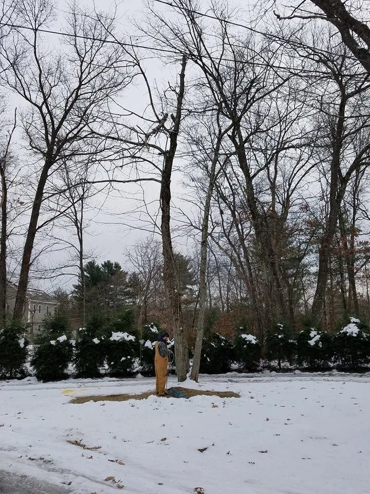 Affordable outdoor landscaping experts serving Lowell, MA - First Impressions Landscaping