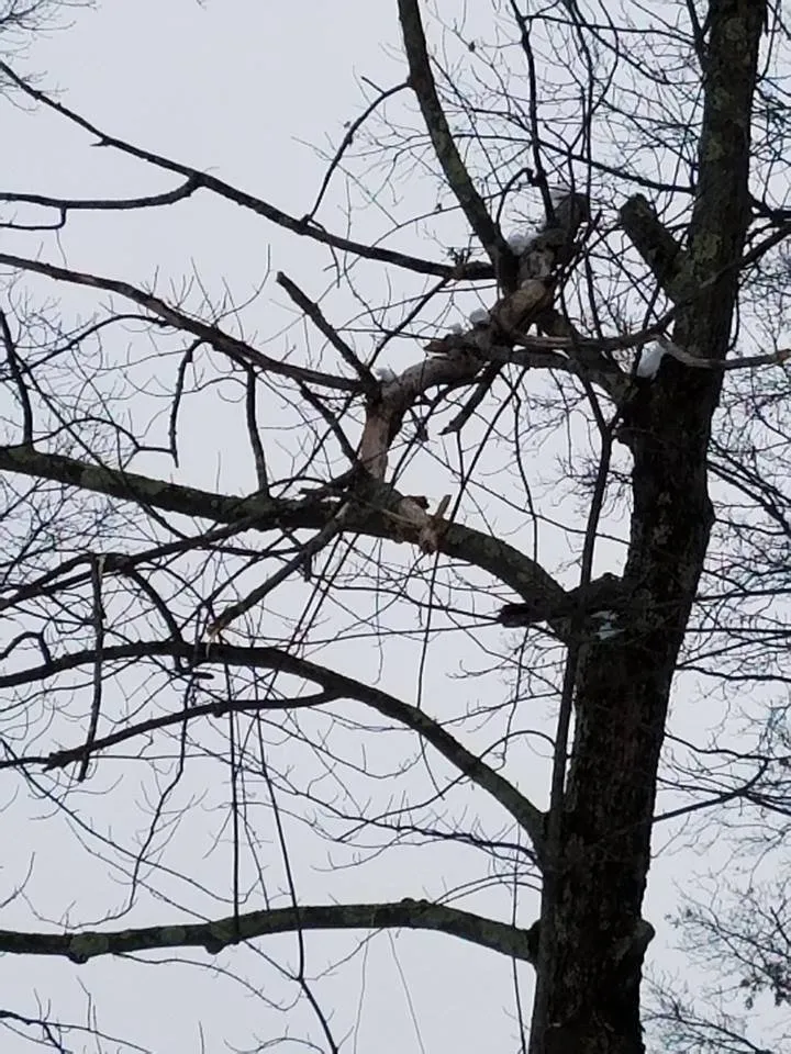 Local yard maintenance experts serving Lowell, MA - First Impressions Landscaping