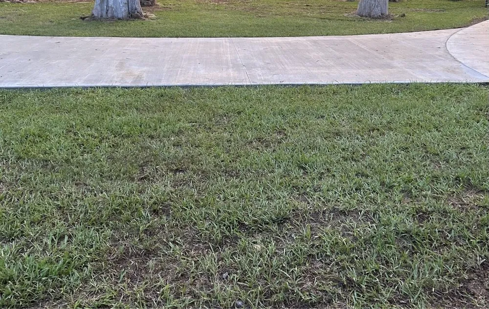 Reliable landscaping services in Astatula, FL by First Impressions Outdoors