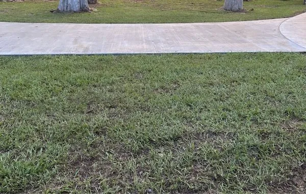 First Impressions Outdoors